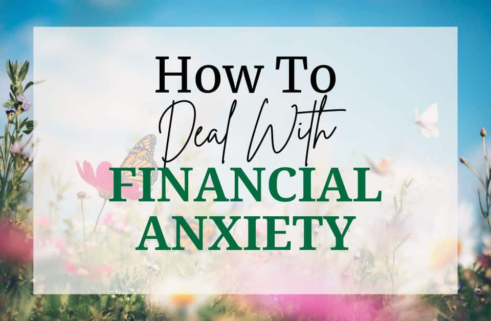 picture of garden with butterfly overlaid by opaque title card financial anxiety